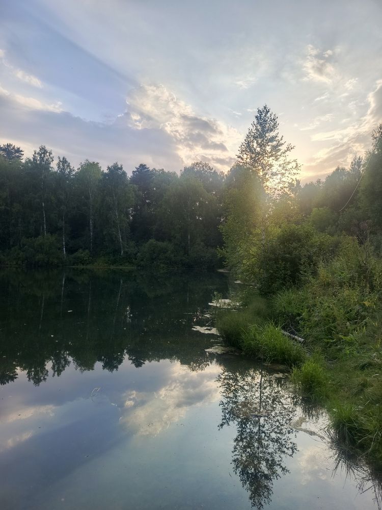 Фотография автора Ольга Петрова