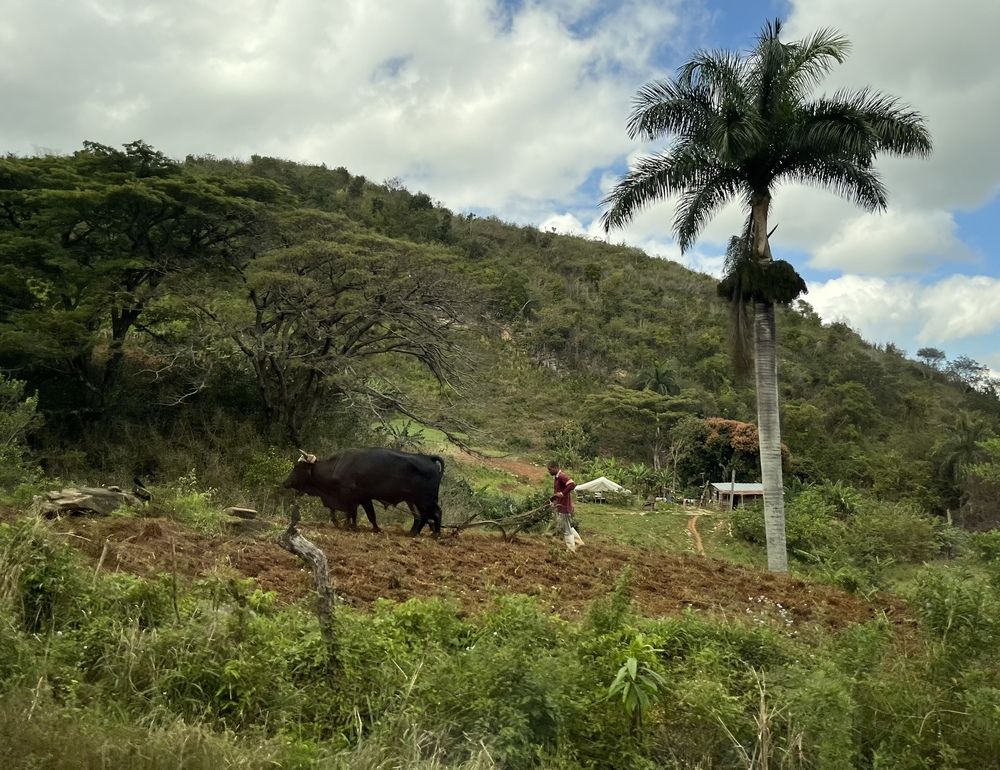 Благодатная пахота