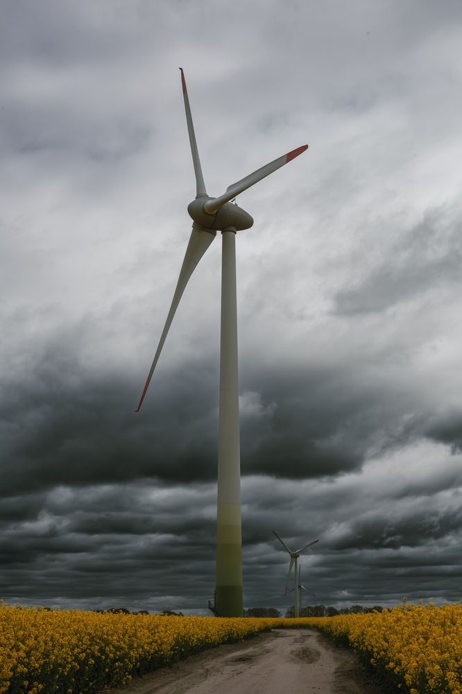 Photograph by Света Вирбицкас