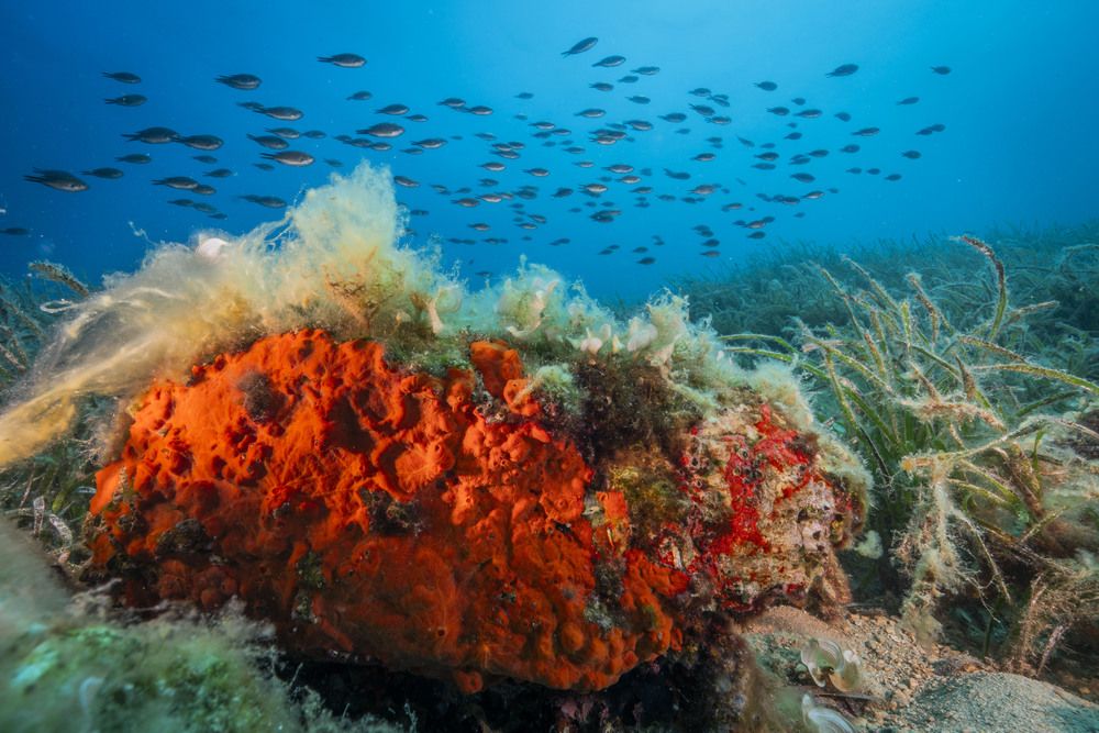 Photograph by Serdar AVCI