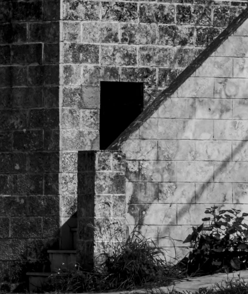 Photograph by Reinel Rodríguez Sánchez-Ossorio