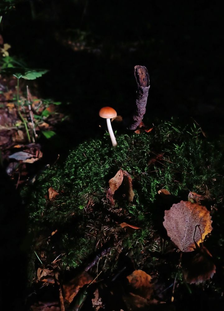 Photograph by Olga Kot