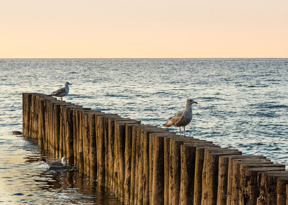 Photograph by Наталья Колеватова