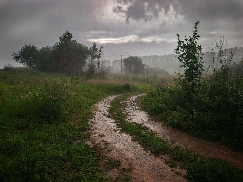 Photograph by Кондрашова Светлана