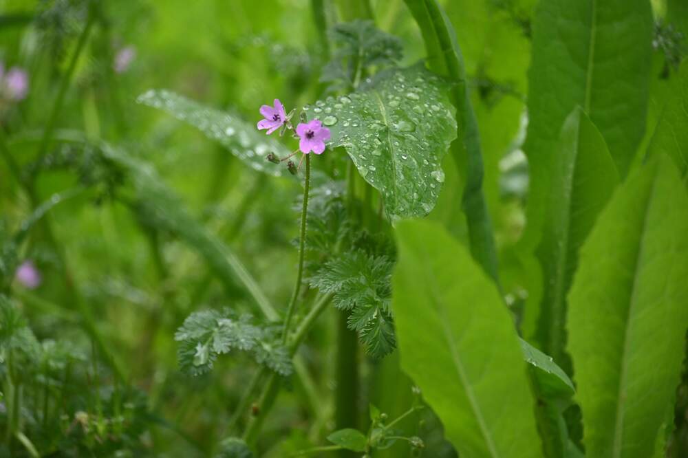 Photograph by Ljiljana Nedeljković