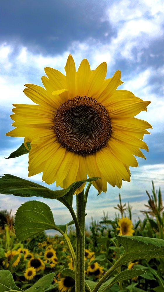 Photograph by Ольга и Андрей Трухан