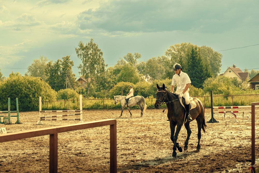 Photograph by Юлия Дмитриева