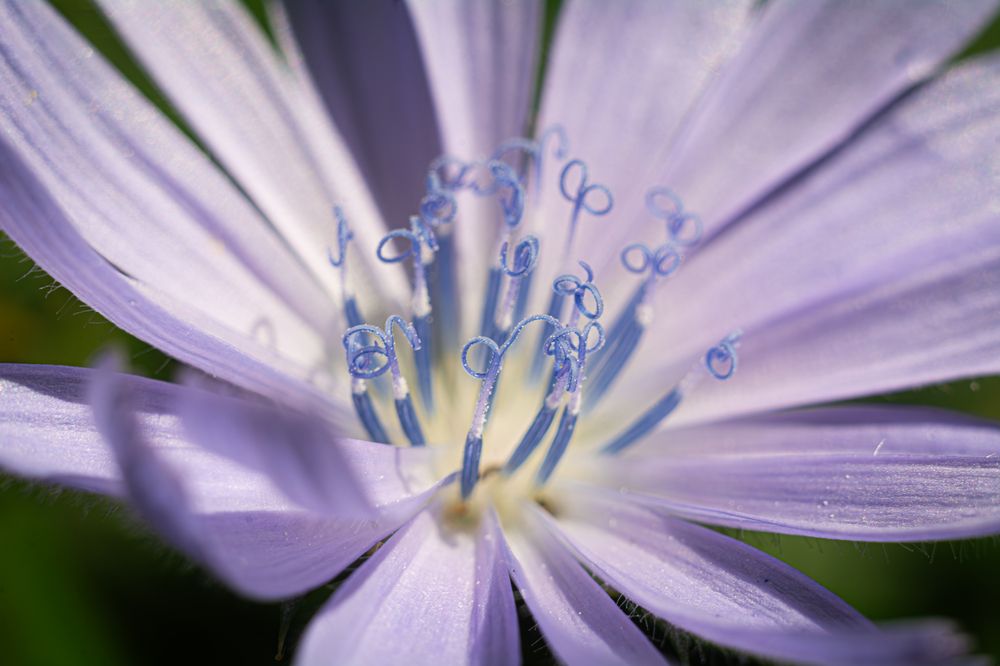 Photograph by Данил Баглаев
