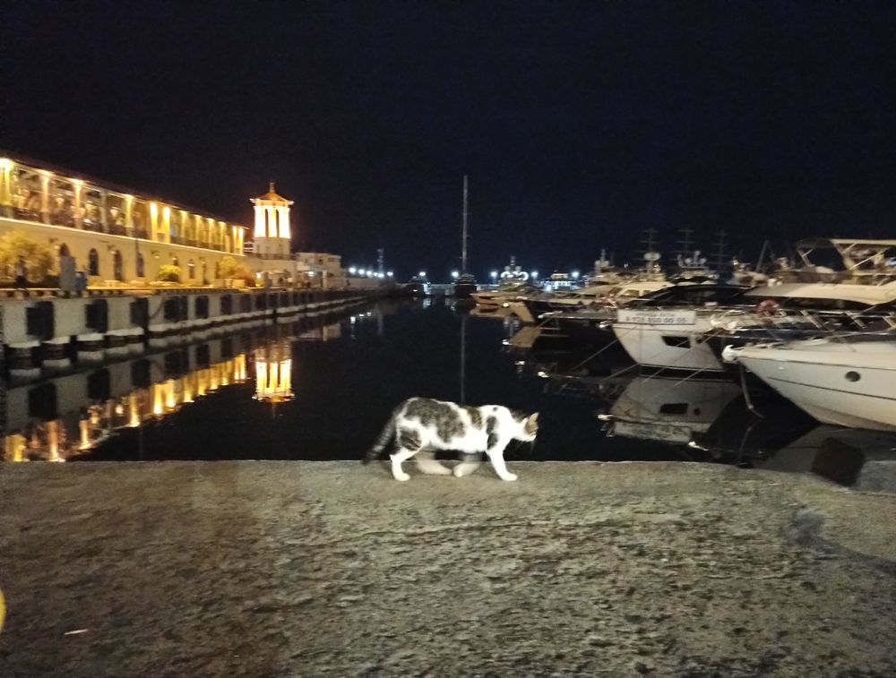 Photograph by Юлия Сурина