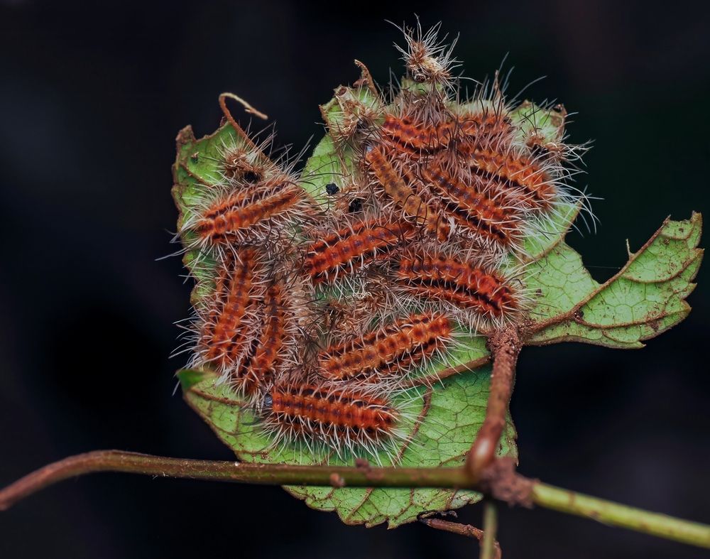 Фотография автора Hardeep Solanki