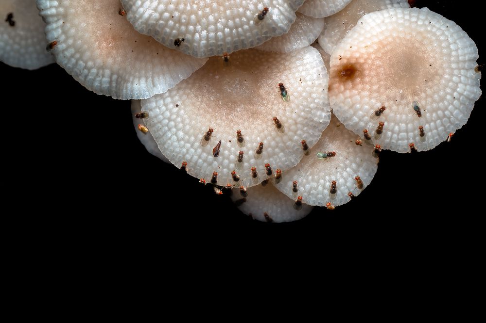 Фотография автора Suchet Sreenath