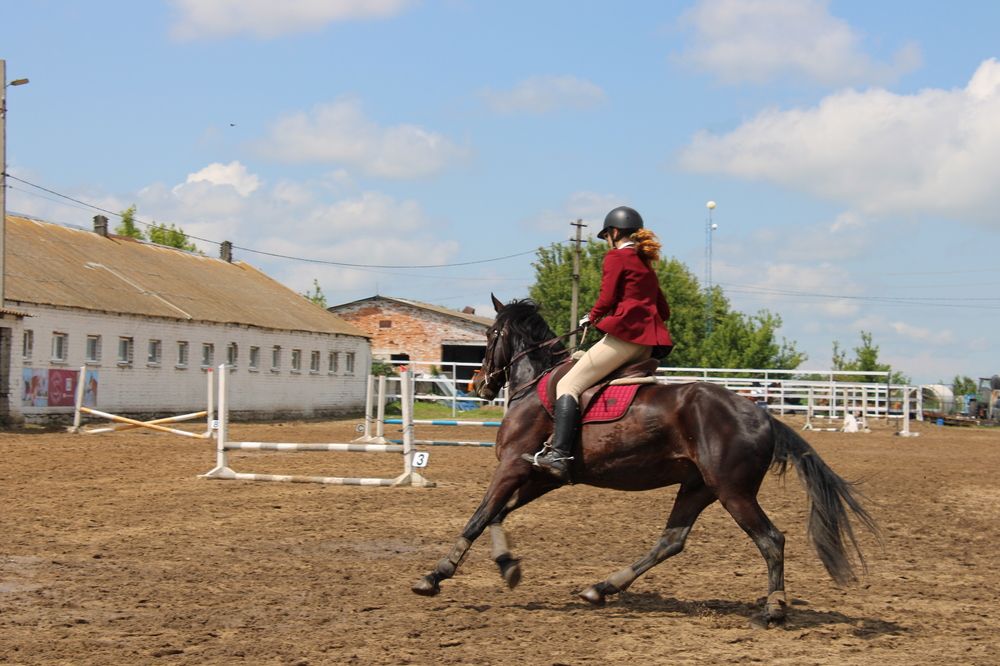 Photograph by Елена Коробченко