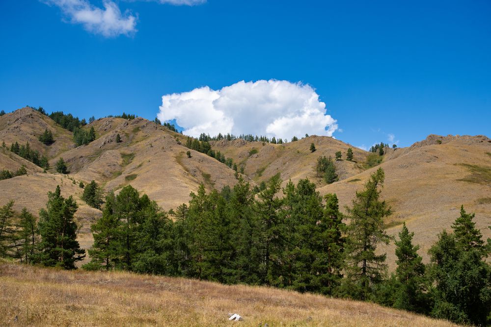 Photograph by Nataliya Smetneva