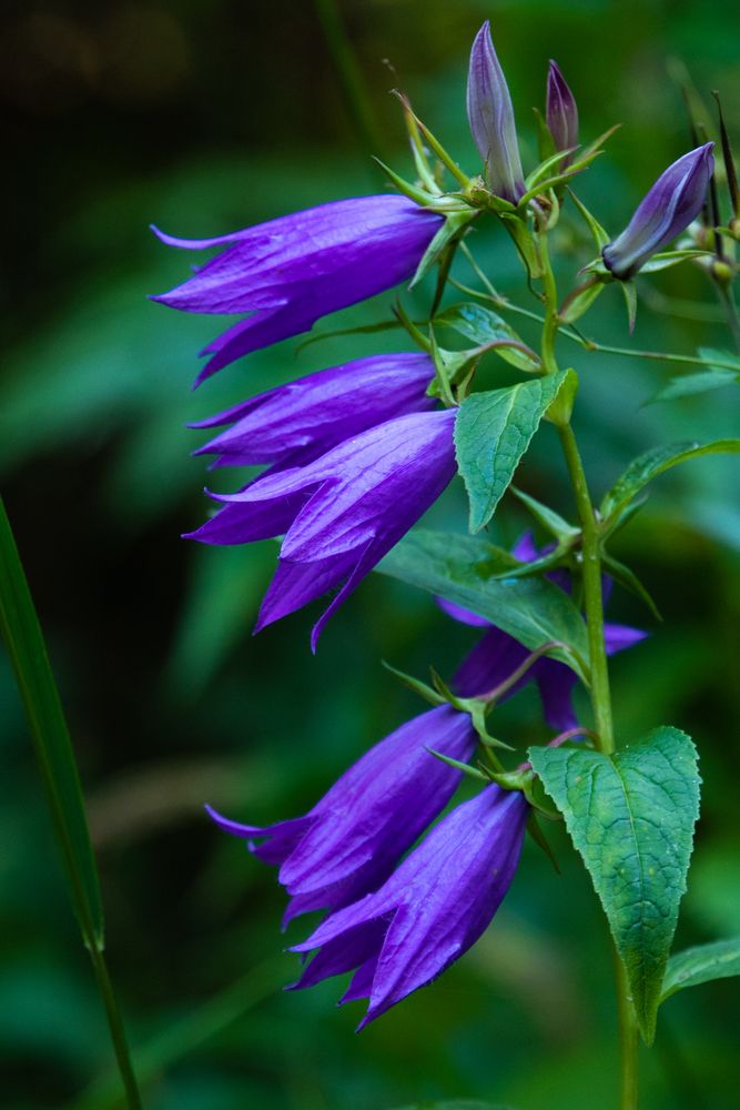 Photograph by Nataliya Smetneva