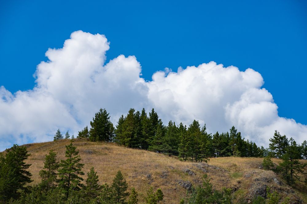 Photograph by Nataliya Smetneva