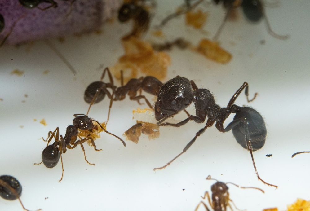 Photograph by Евгения Дахина