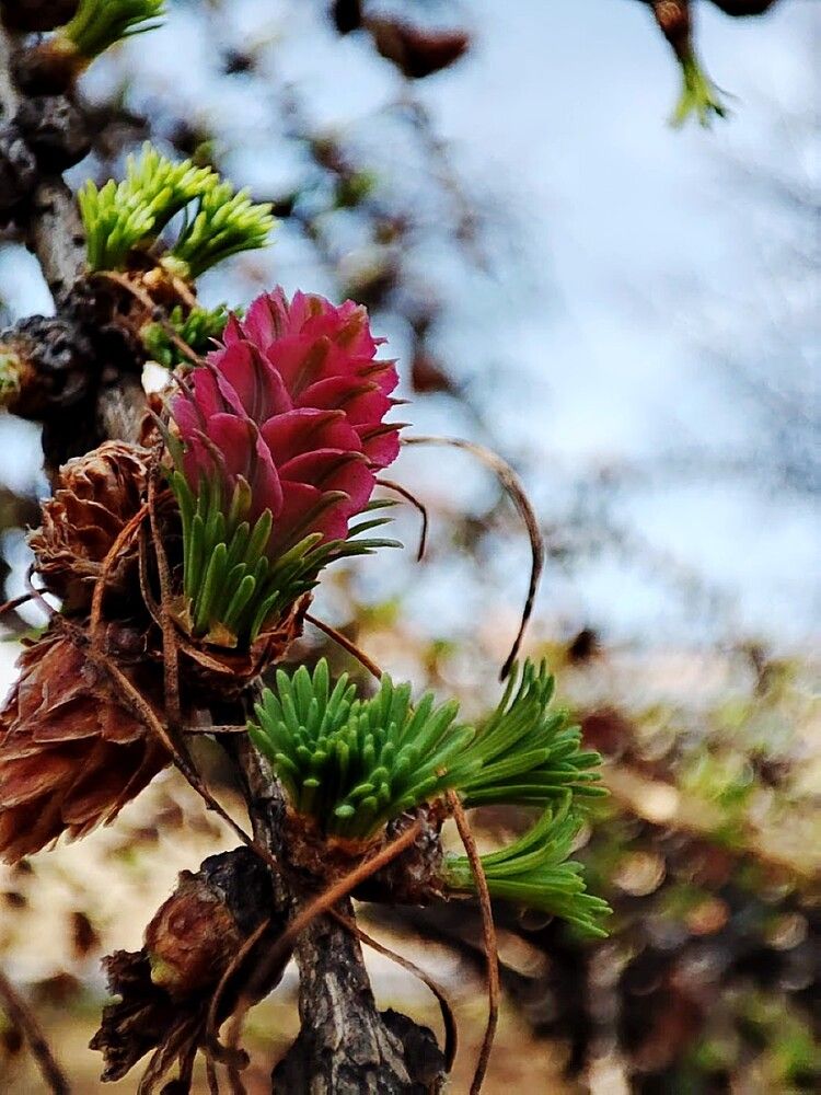 Photograph by Людмила