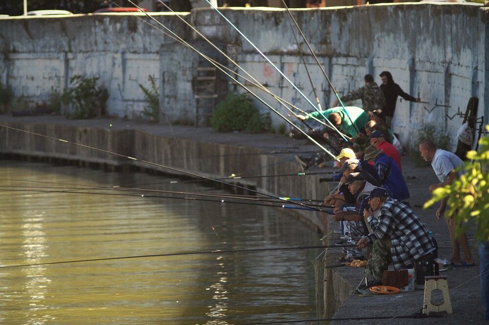 Photograph by Артём Пархоменко