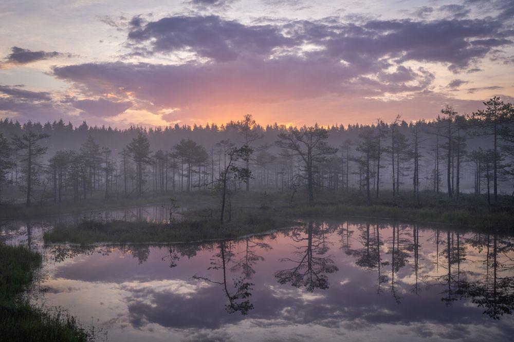 Фотография автора Иоаннисиан Михаил