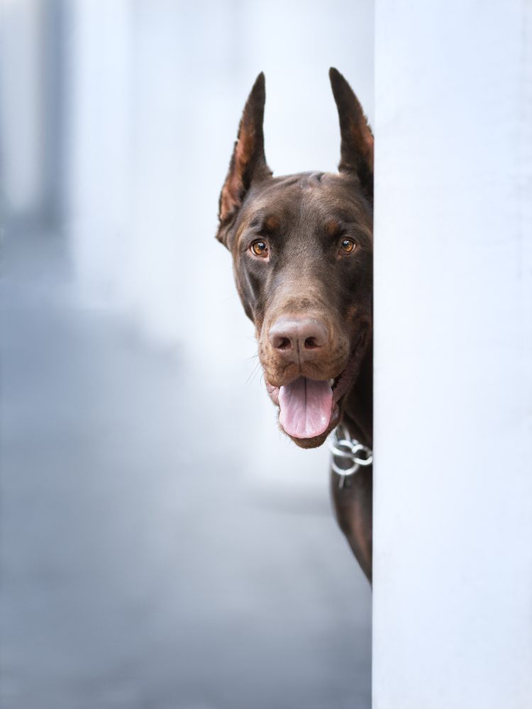 Photograph by Мария Клещенко