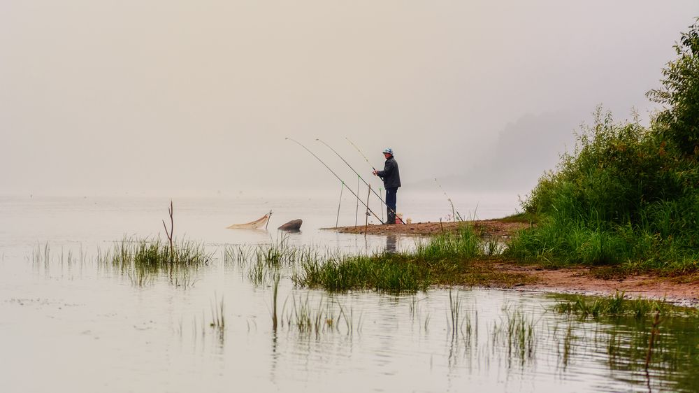 Photograph by Сергей Дишук