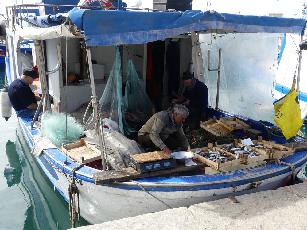 Photograph by Leo Tujak