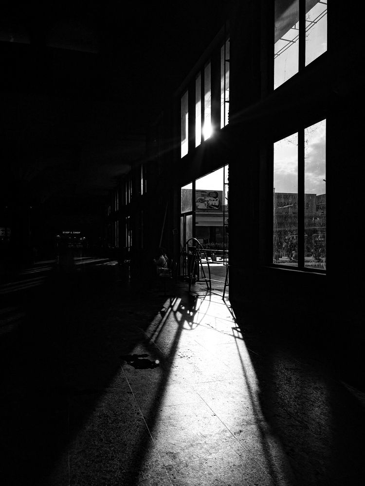 Photo #12410275