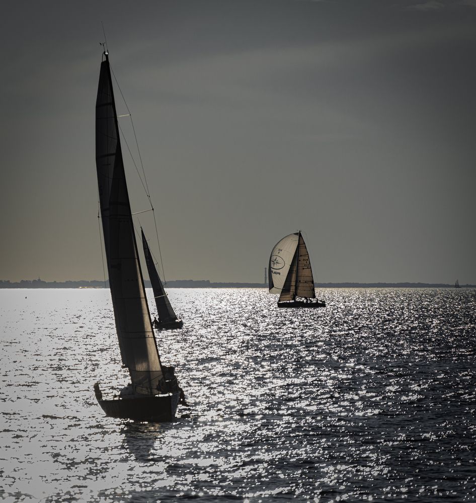 Photograph by Сергей Басов