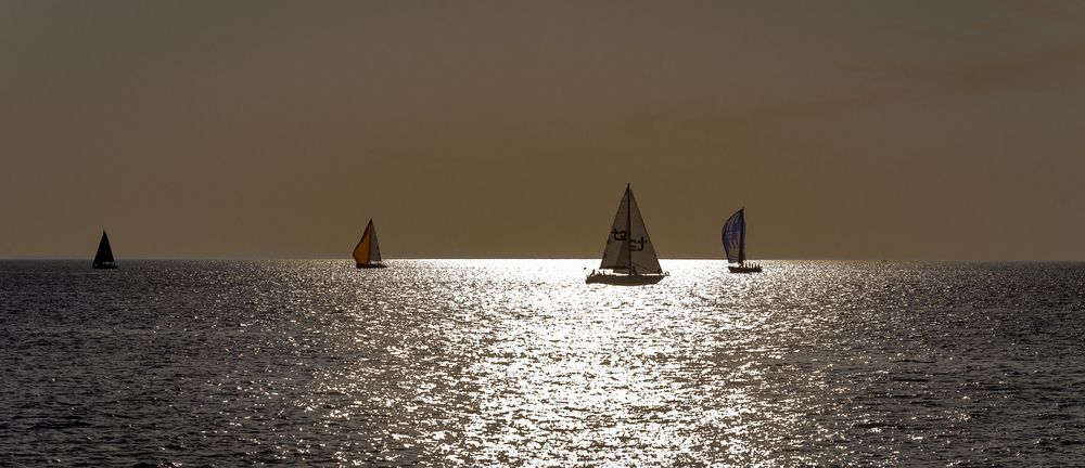 Photograph by Сергей Басов