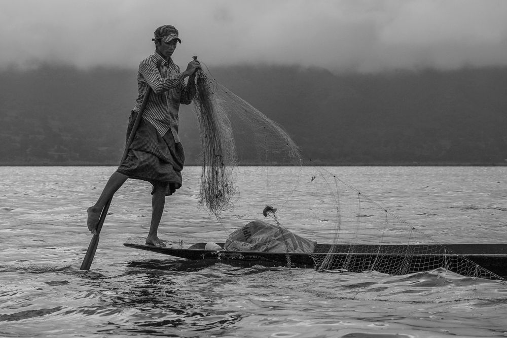 Photograph by Анатолий Фомин