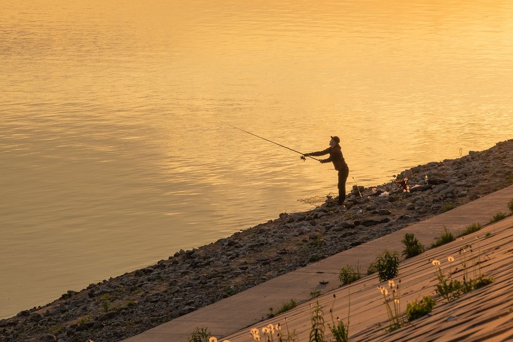 Photograph by Наталья Липовская
