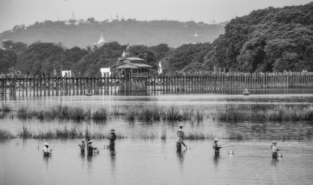Фотография автора Анатолий Фомин