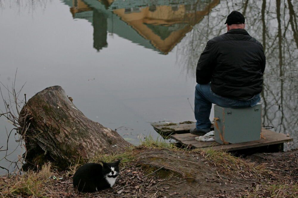 Фотография автора Александр Кожевников