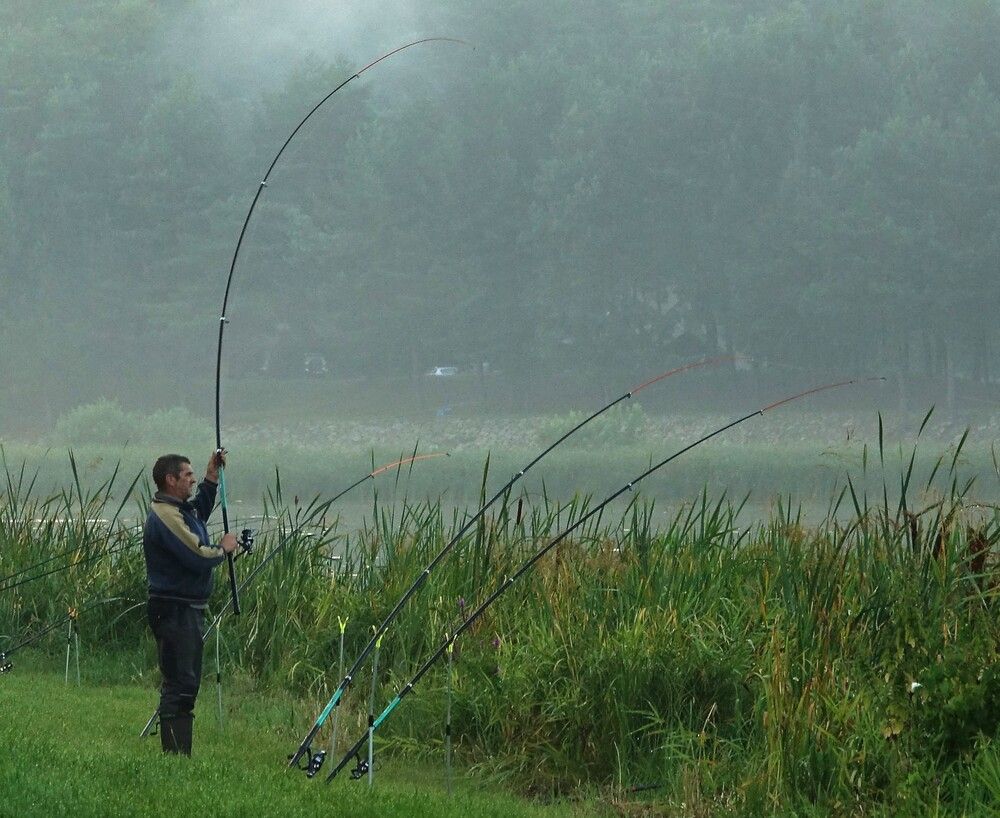 Photograph by jelena konickaja