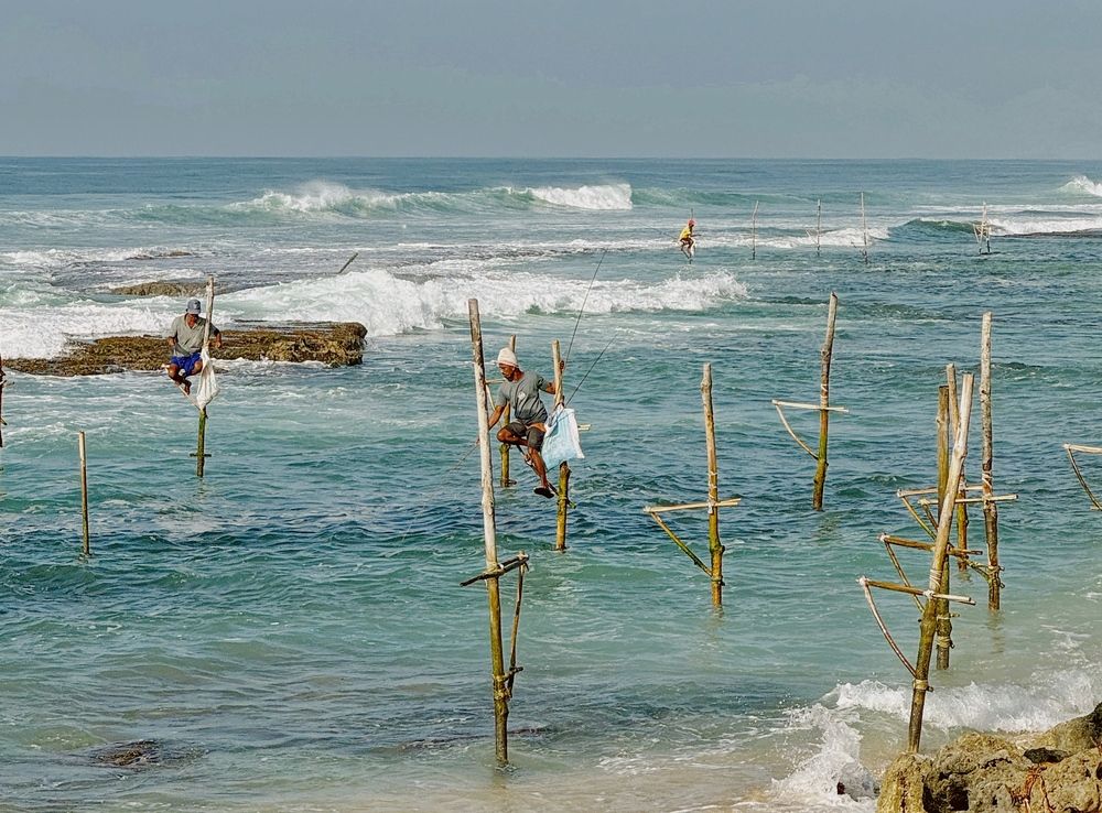 Photograph by Евгения Никишина