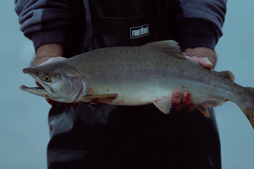 Photograph by Анатолий Буянов