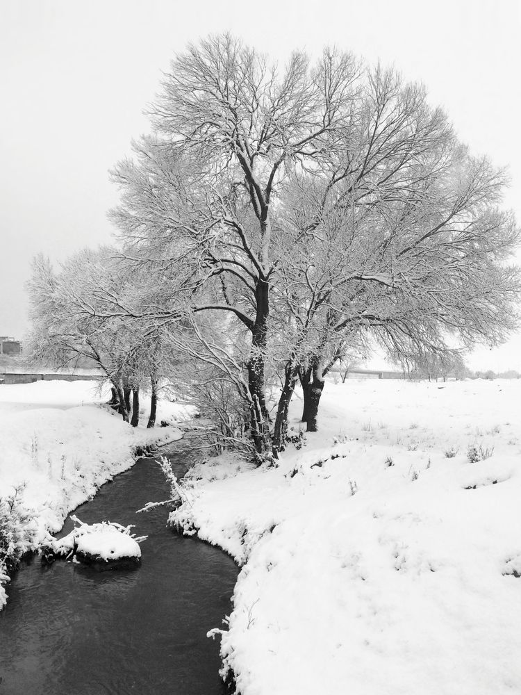Tranquility in White