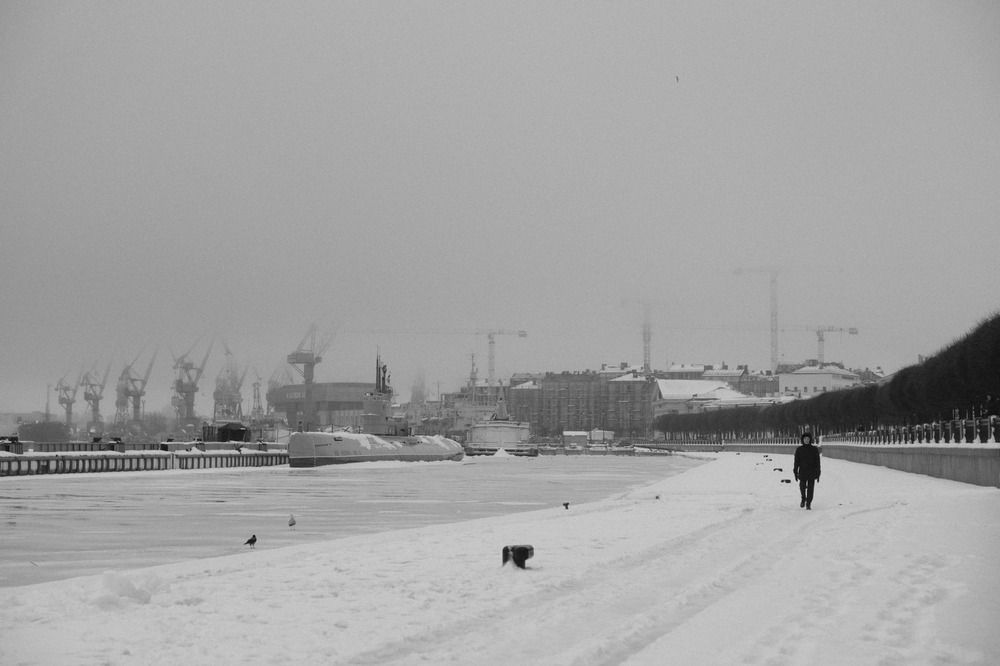 Photograph by Anastasia Vladimirovna