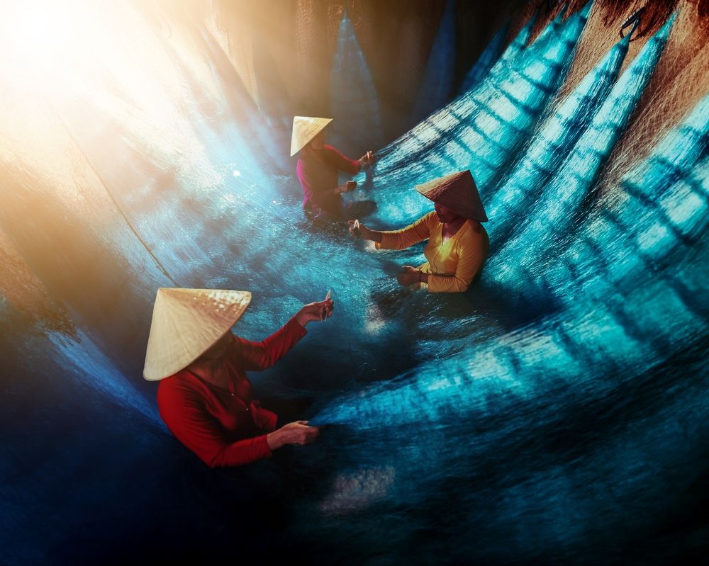 Photograph by Halo Nguyen