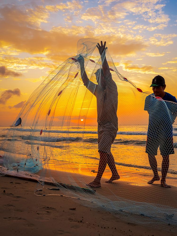 Giũ Lưới bắt mặt trời