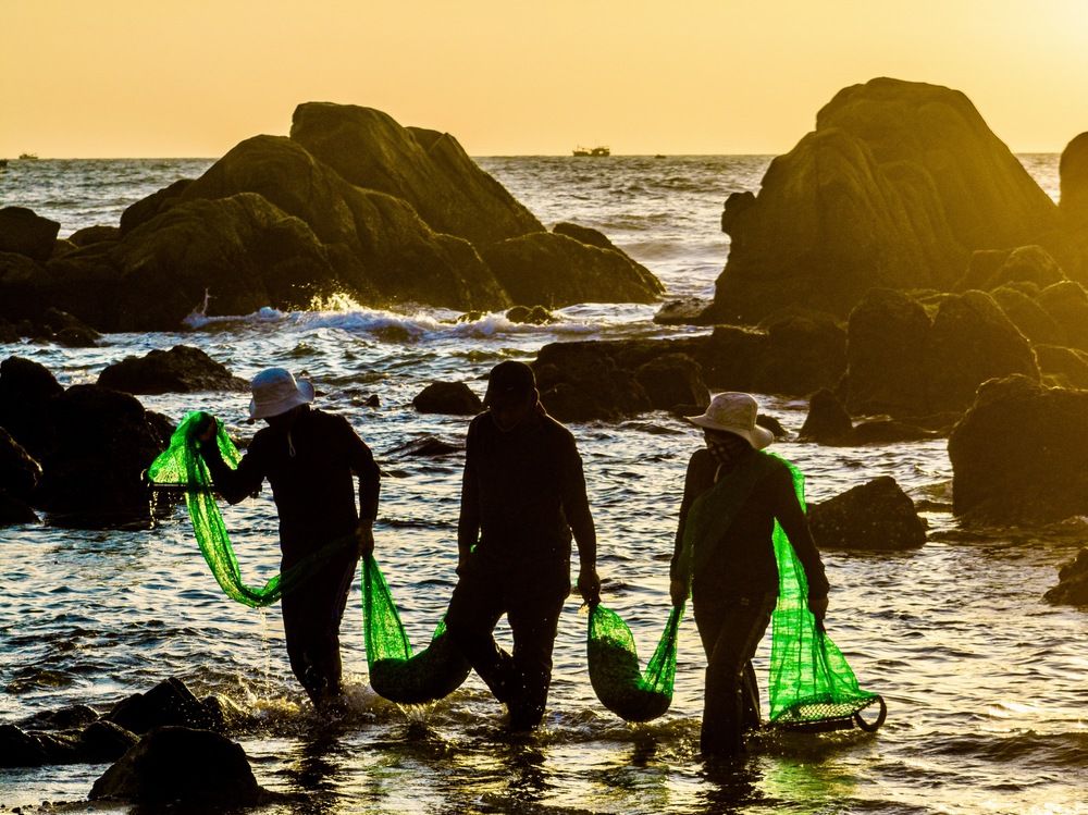 Photograph by Hải Trần