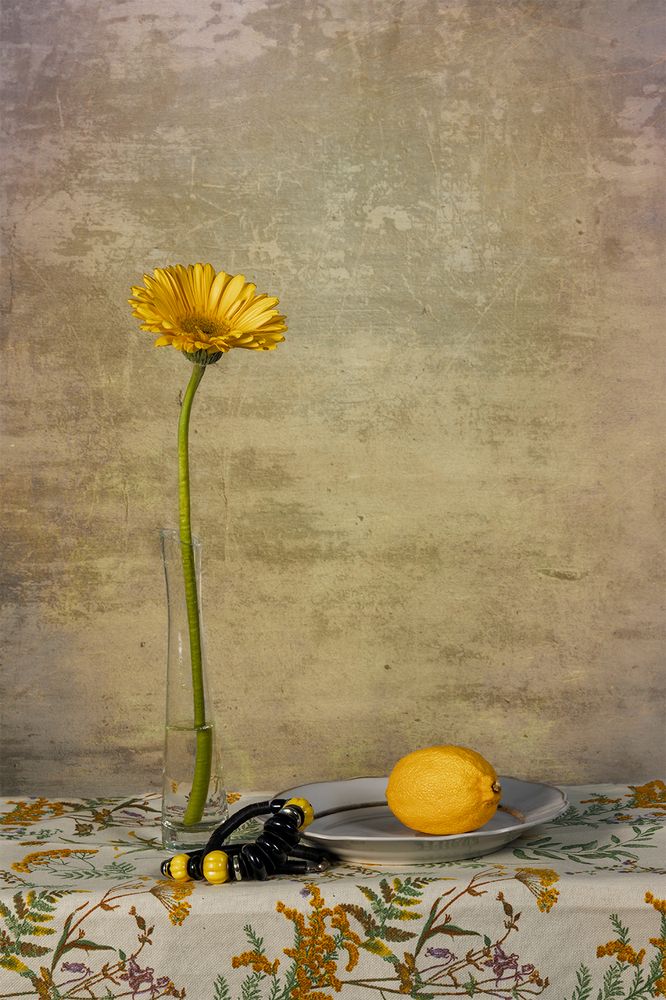 Photograph by Михаил Мак
