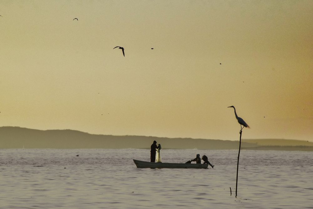 Фотография автора fabio chiari