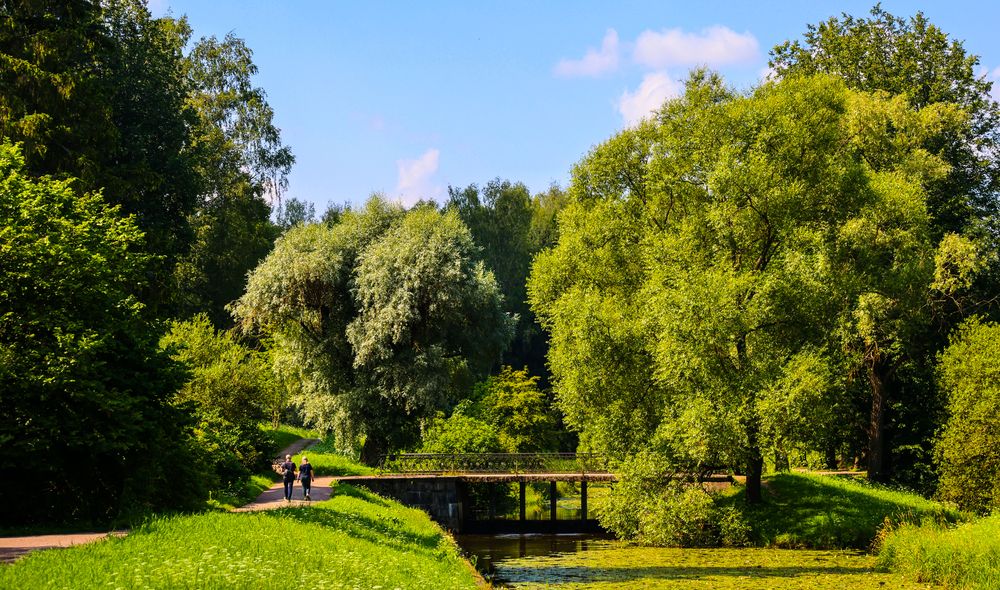 Photograph by Михаил Бояркин