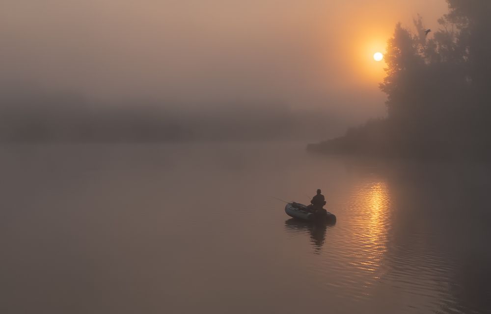 Photograph by Александр Шатохин