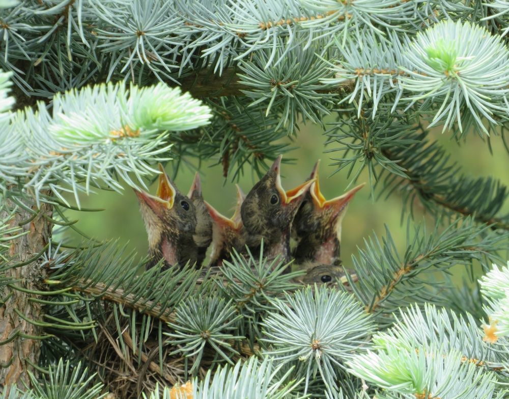 Photograph by Елена Кузина