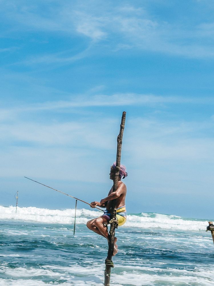 Photograph by Pasindu Heshan