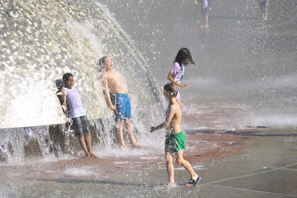 Фотография автора PIROUZ MOSHAVASH