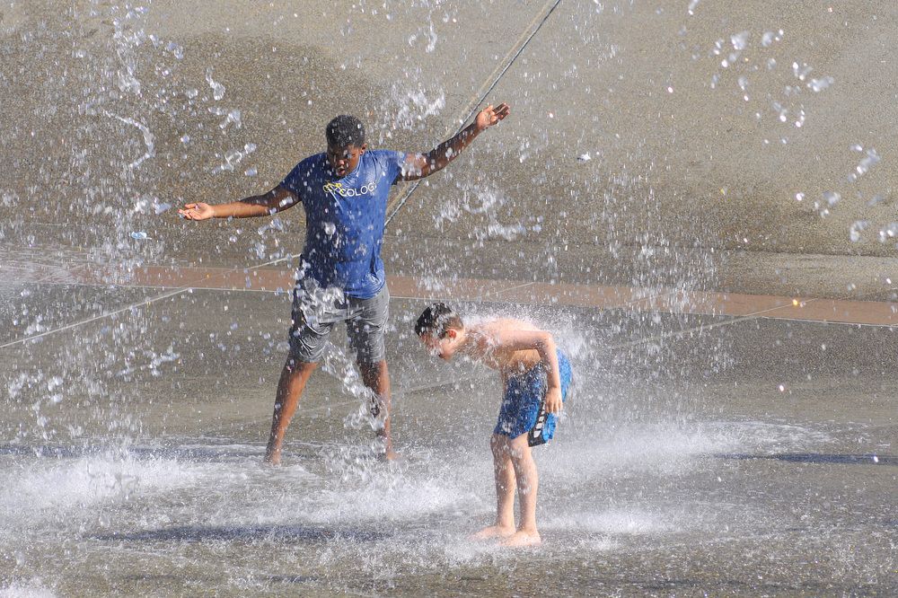 Фотография автора PIROUZ MOSHAVASH