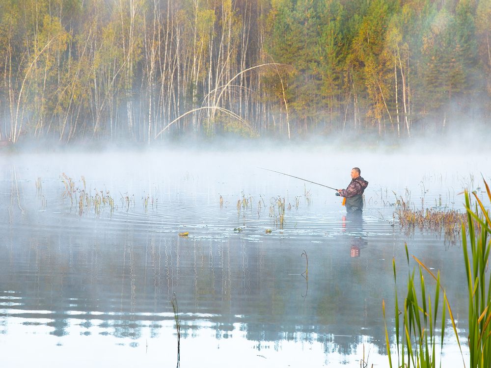 Photograph by Алексеев Дмитрий